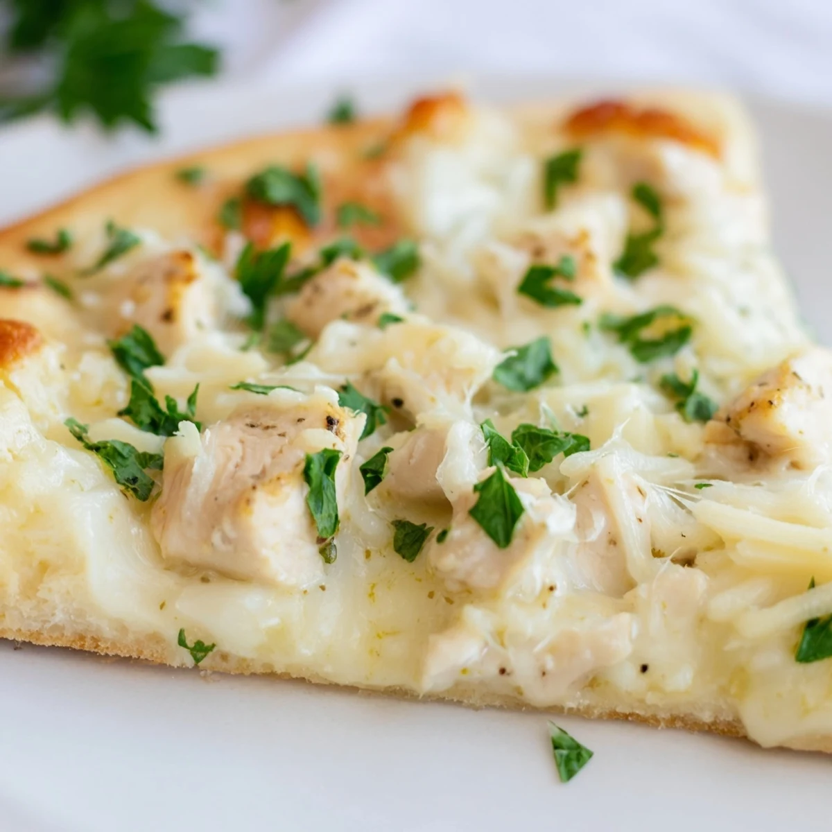 Fresh parsley tops a slice of homemade Chicken Alfredo Pizza, with rich cheese and savory chicken on a crisp, golden-brown crust.  